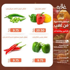 Page 8 in Shader Monday and Tuesday at Ghallab Markets Egypt
