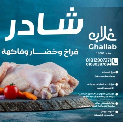 Page 2 in Shader Monday and Tuesday at Ghallab Markets Egypt