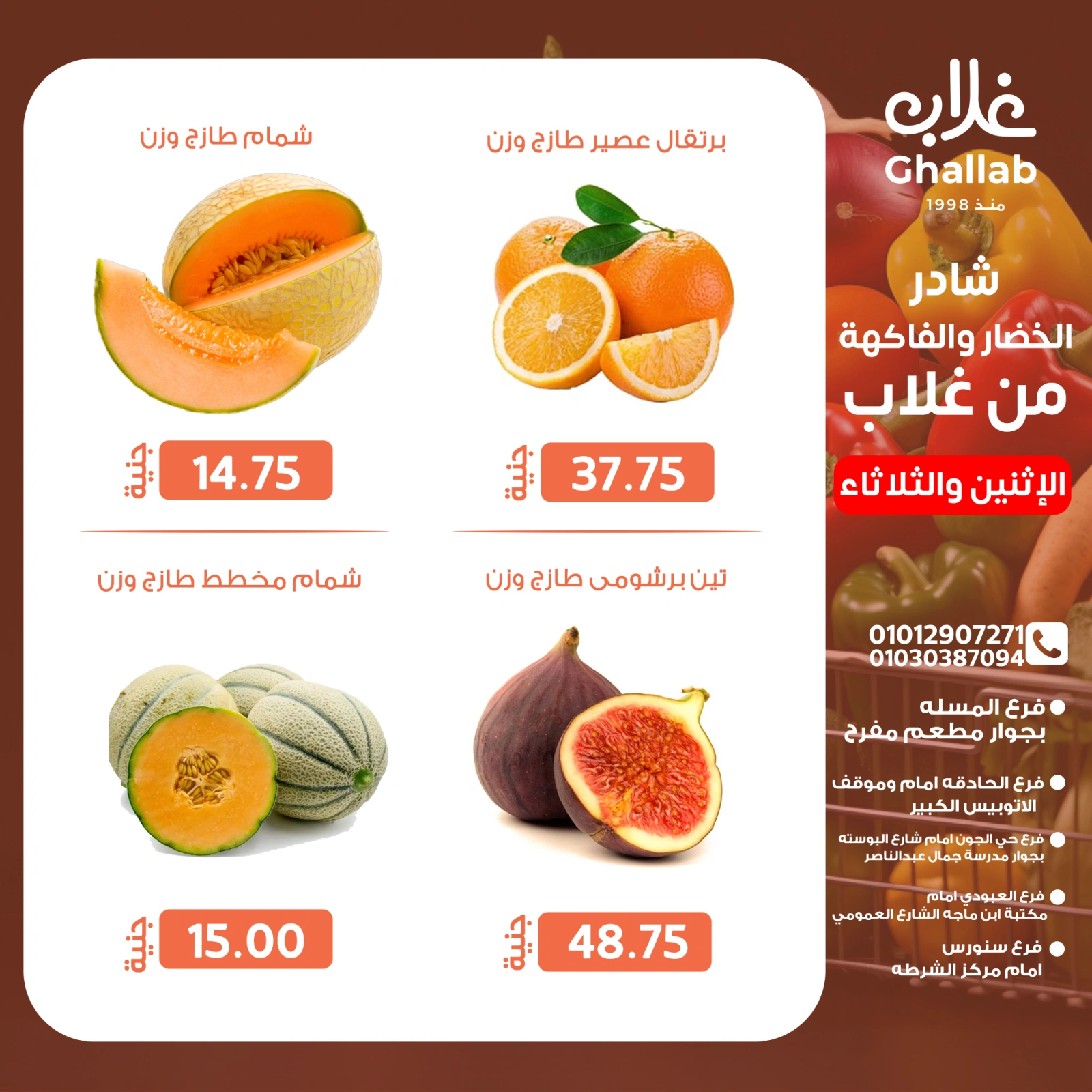 Page 11 in Shader Monday and Tuesday at Ghallab Markets Egypt