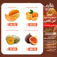 Page 11 in Shader Monday and Tuesday at Ghallab Markets Egypt