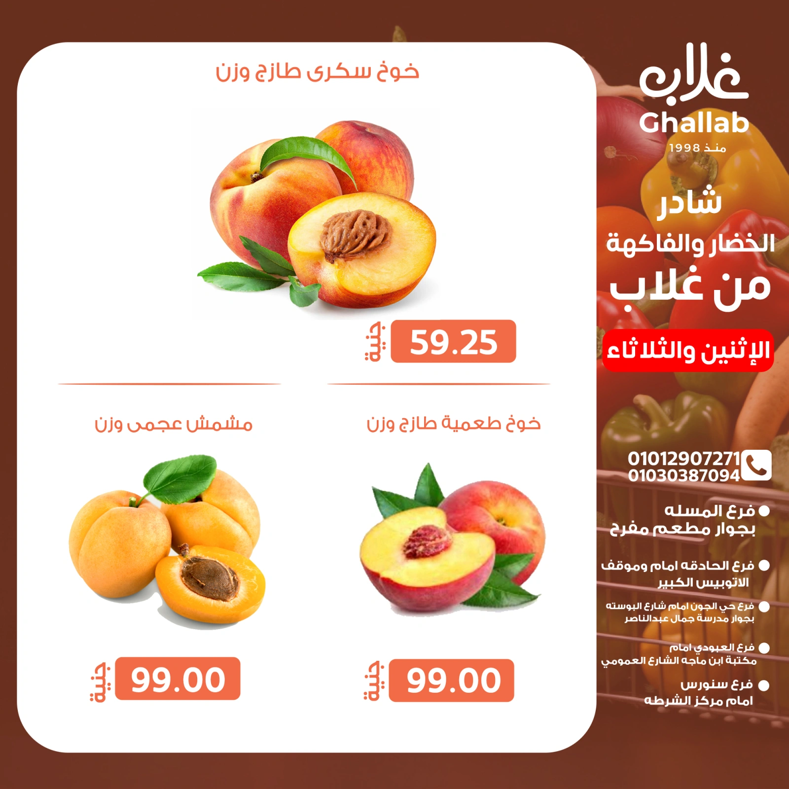 Page 14 in Shader Monday and Tuesday at Ghallab Markets Egypt