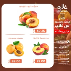 Page 14 in Shader Monday and Tuesday at Ghallab Markets Egypt