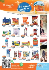 Page 1 in Summer Sale at Kazyon Market Egypt