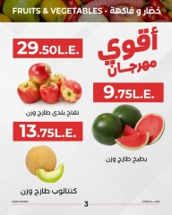 Page 4 in Watermelon fest offers at Arafa market Egypt