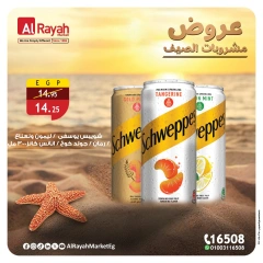 Page 2 in Summer Drinks Offers at Al Rayah Market Egypt