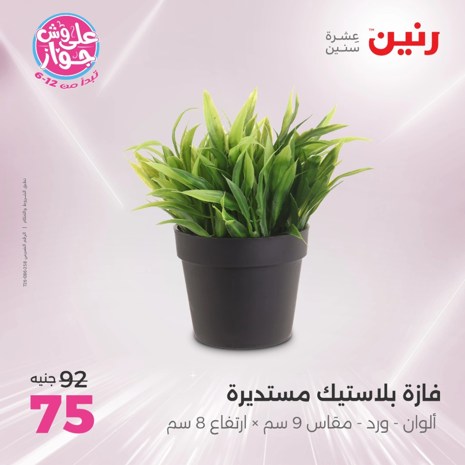 Page 29 in Decorative pieces offers at Raneen Egypt