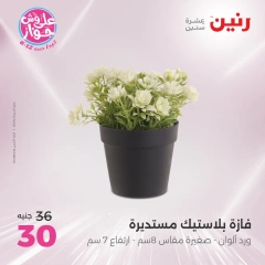 Page 30 in Decorative pieces offers at Raneen Egypt