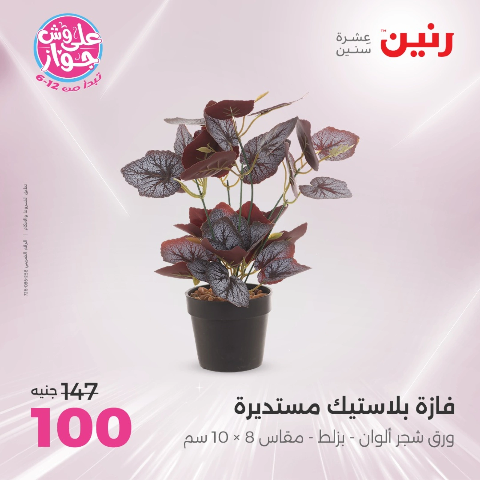 Page 31 in Decorative pieces offers at Raneen Egypt