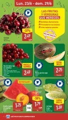 Page 4 in Weekly offers at Lidl Spain