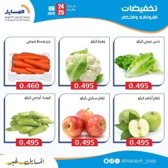 Page 6 |Vegetable and fruit offers at Al Masayel co-op Kuwait