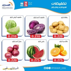 Page 3 |Vegetable and fruit offers at Al Masayel co-op Kuwait