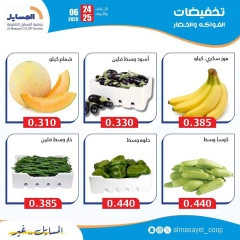 Page 5 |Vegetable and fruit offers at Al Masayel co-op Kuwait