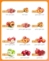 Page 4 |Vegetable and fruit offers at AL Rumaithya co-op Kuwait