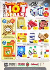 Page 1 in Hot Deals at Nesto Saudi Arabia