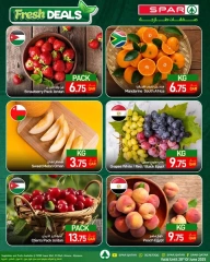Página 1 |Nuevas ofertas en SPAR Katar