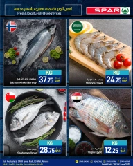 Página 5 |Nuevas ofertas en SPAR Katar