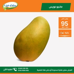 صفحة 14 ضمن عروض الشهر في مزارع دينا مصر