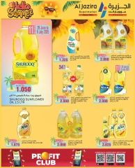 Page 17 in Summer Deals at Al jazira supermarket Bahrain