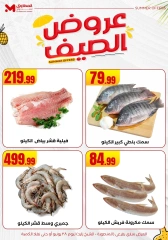 صفحة 3 ضمن عروض الصيف في المحلاوى ستورز مصر