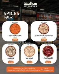 صفحة 11 ضمن عروض الصيف في بيت الجملة مصر