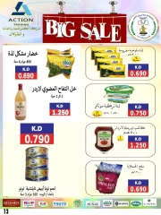 Página 13 |venta de junio en Cooperativa Sabahel Nasser Kuwait