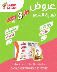 Page 3 |Month End Deals at Farm markets Saudi Arabia