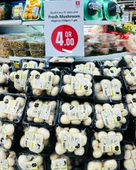 Página 15 |Ofertas de fin de semana en Hipermercado Safari Katar