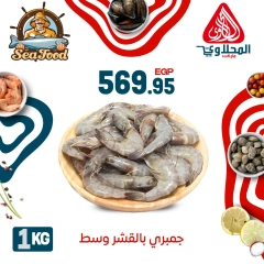 Página 8 |Ofertas de pescado en Mercado El Mahlawy Egipto
