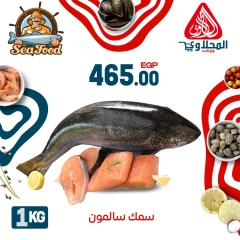 Página 4 |Ofertas de pescado en Mercado El Mahlawy Egipto