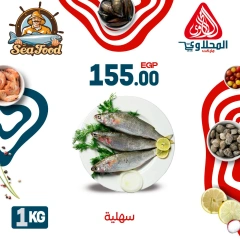 Página 2 |Ofertas de pescado en Mercado El Mahlawy Egipto