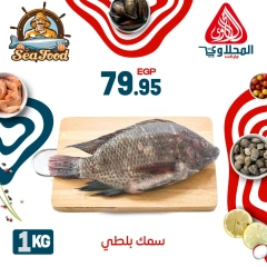 Página 7 |Ofertas de pescado en Mercado El Mahlawy Egipto