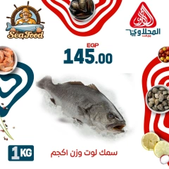 Página 1 |Ofertas de pescado en Mercado El Mahlawy Egipto