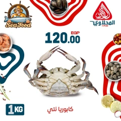Página 5 |Ofertas de pescado en Mercado El Mahlawy Egipto