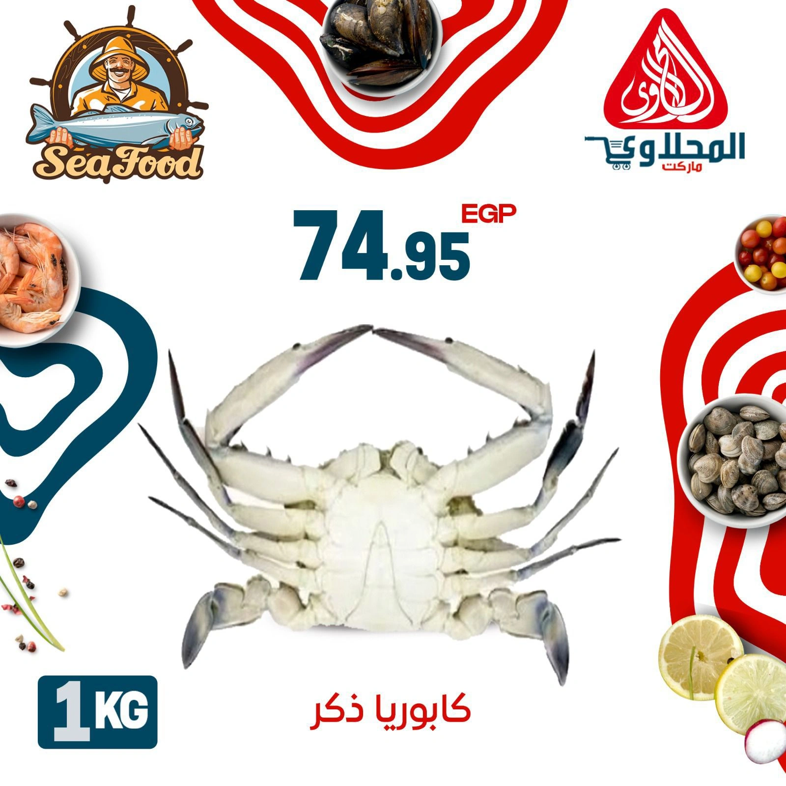 Page 11 |Seafood Deals at El Mahlawy market Egypt
