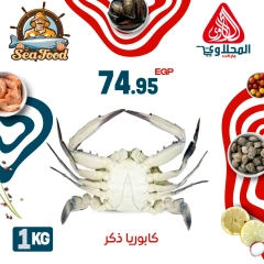 Página 11 |Ofertas de pescado en Mercado El Mahlawy Egipto