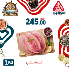 Página 6 |Ofertas de pescado en Mercado El Mahlawy Egipto