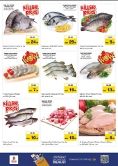 Page 17 |Back to Home Deals at Nesto UAE