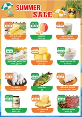 Page 2 |Wow Summer Deals at Abu Saleh market Egypt