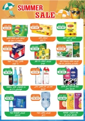 Page 11 |Wow Summer Deals at Abu Saleh market Egypt