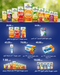 Page 23 |Wow Summer Deals at Arafa market Egypt