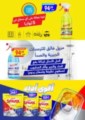 صفحة 8 |عروض الصيف لدي الحسينى سوبر ماركت مصر