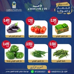 Page 5 |Vegetable and fruit offers at Hadiya co-op Kuwait