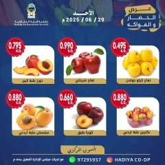 Page 8 |Vegetable and fruit offers at Hadiya co-op Kuwait