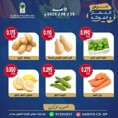 Page 4 |Vegetable and fruit offers at Hadiya co-op Kuwait