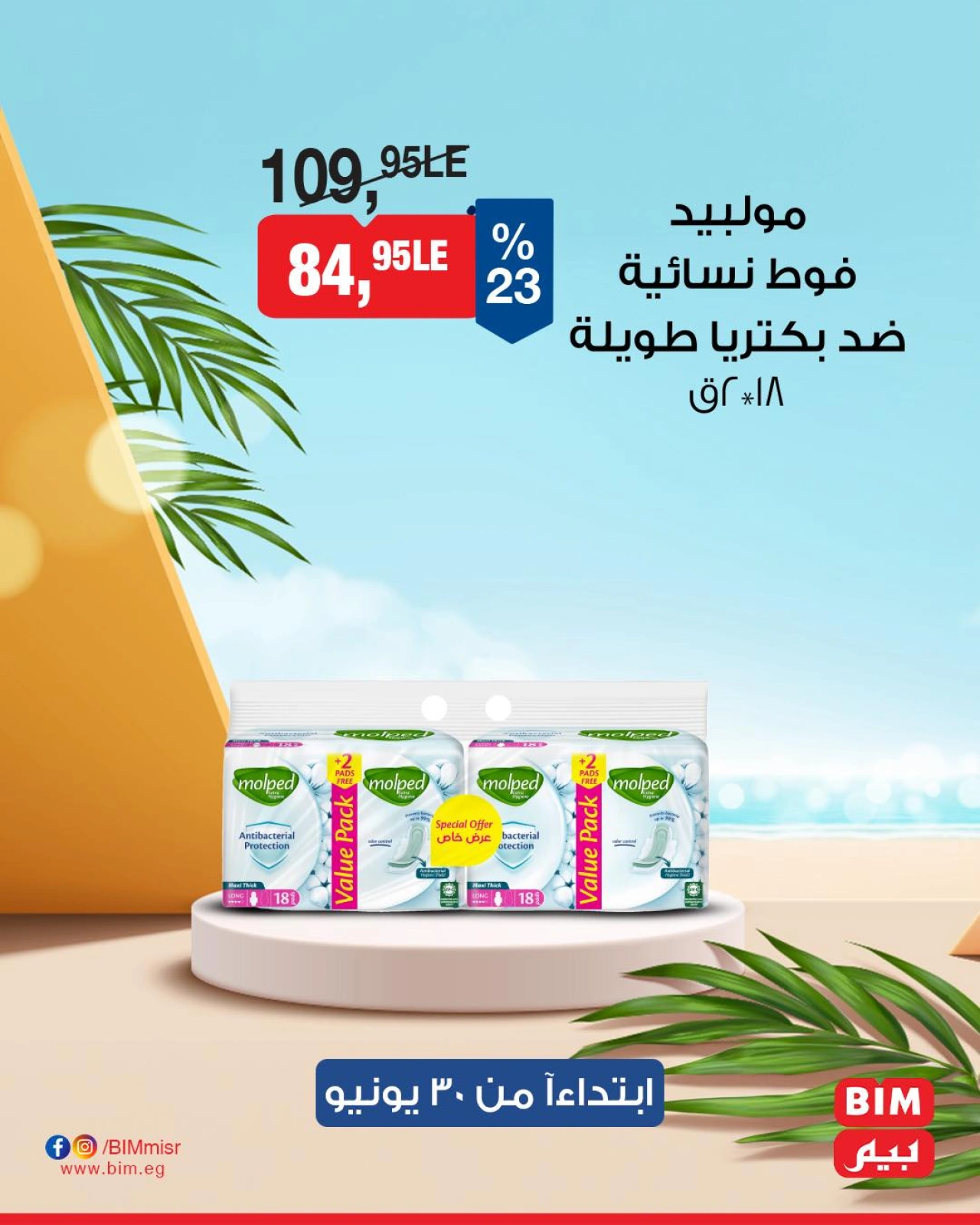 Page 6 |Offre de la semaine EN Marché du BIM Egypte