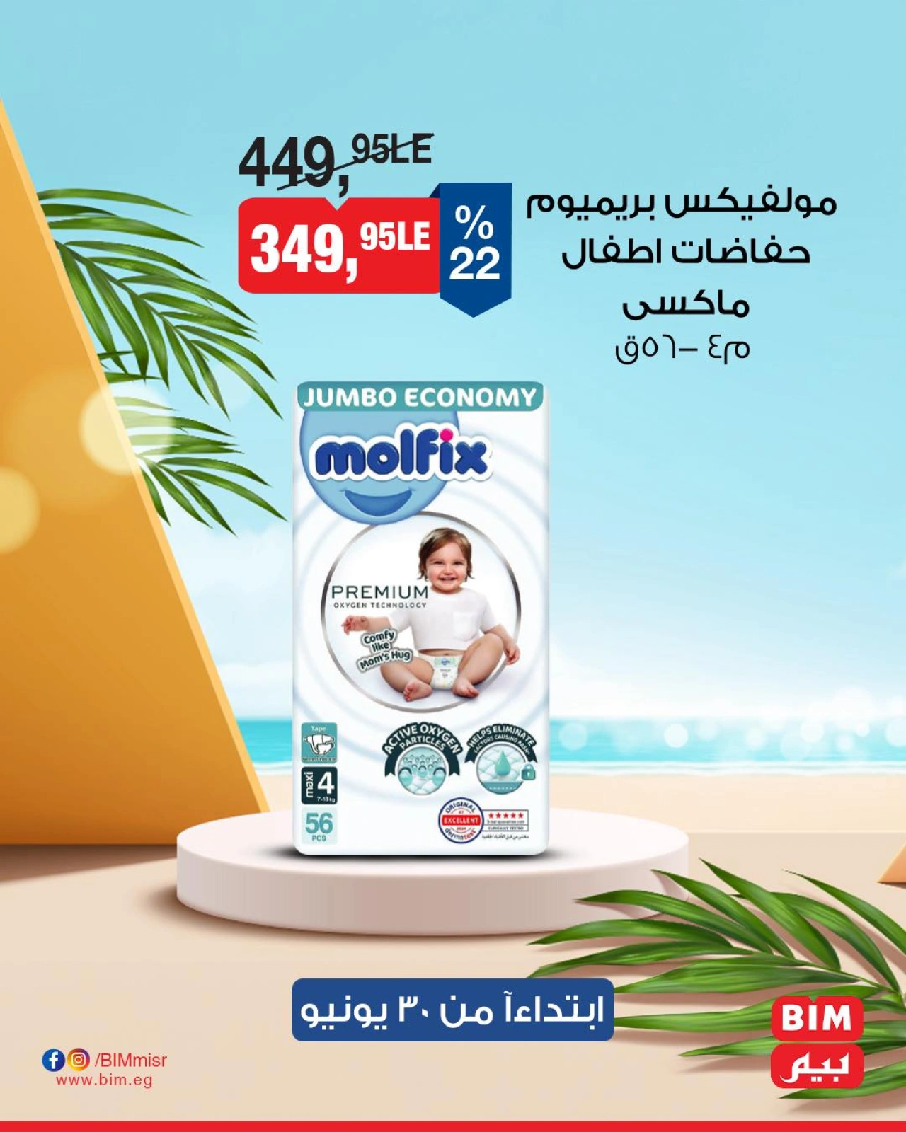 Page 5 |Offre de la semaine EN Marché du BIM Egypte