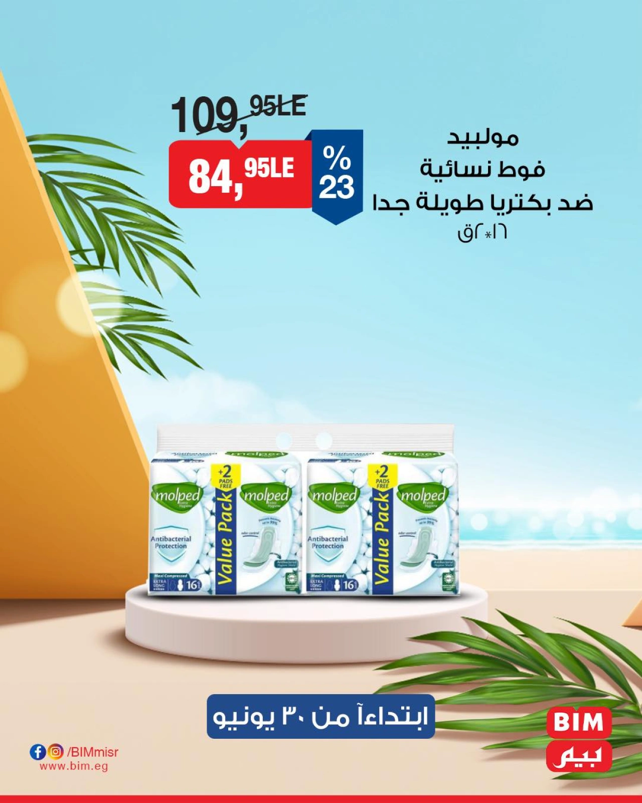Page 7 |Offre de la semaine EN Marché du BIM Egypte