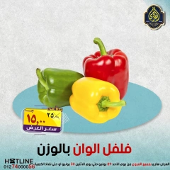 Page 2 |Offres de fruits et légumes EN Marché El Sorady Egypte