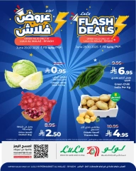 Página 2 |Venta relámpago en lulu Arabia Saudita