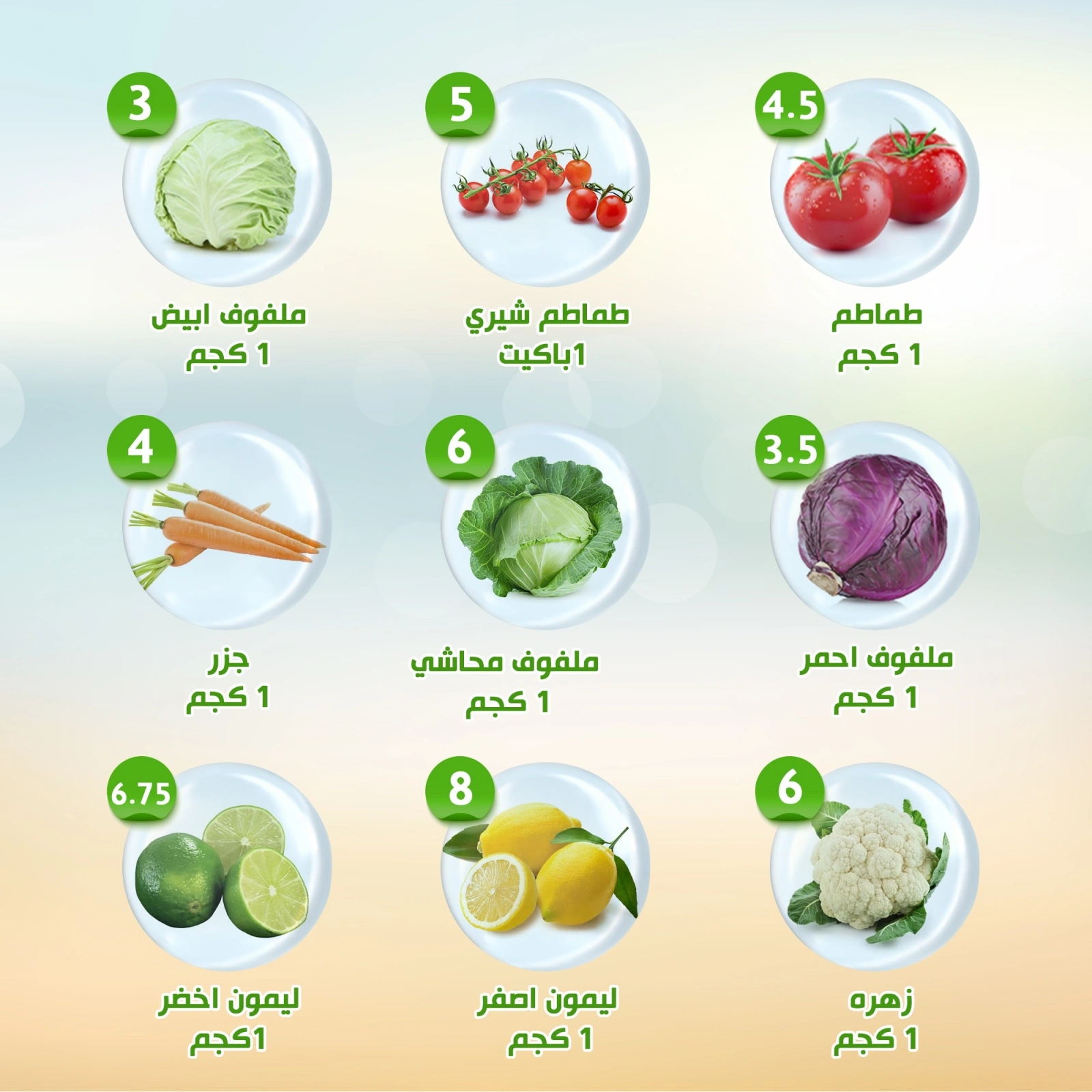 Page 9 |Weekly offers at Alnahda almasria UAE